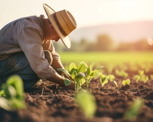 farmer